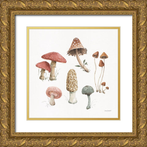 Mushroom Medley 03 Gold Ornate Wood Framed Art Print with Double Matting by Audit, Lisa