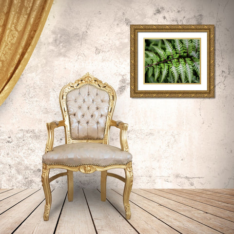 Fern Detail Gold Ornate Wood Framed Art Print with Double Matting by Head, Danny