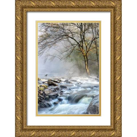 Crisp Mist Gold Ornate Wood Framed Art Print with Double Matting by Head, Danny