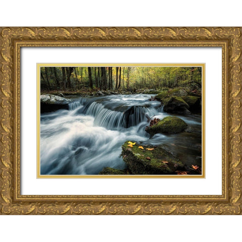 Last Light at Tremont Gold Ornate Wood Framed Art Print with Double Matting by Head, Danny