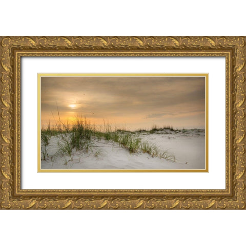 Gulf Sunrise Gold Ornate Wood Framed Art Print with Double Matting by Head, Danny