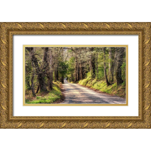 Sundays Drive Gold Ornate Wood Framed Art Print with Double Matting by Head, Danny
