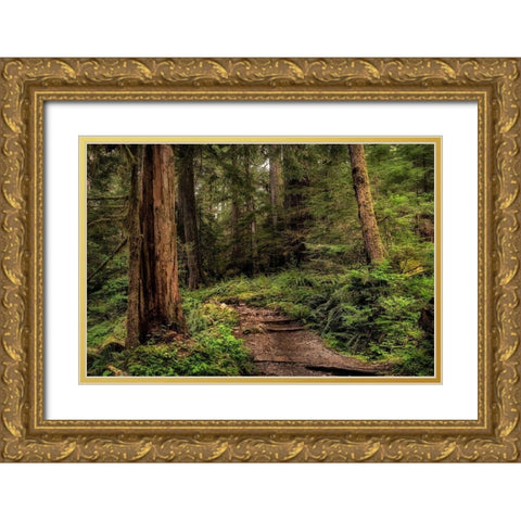 The Forest Calls Gold Ornate Wood Framed Art Print with Double Matting by Head, Danny