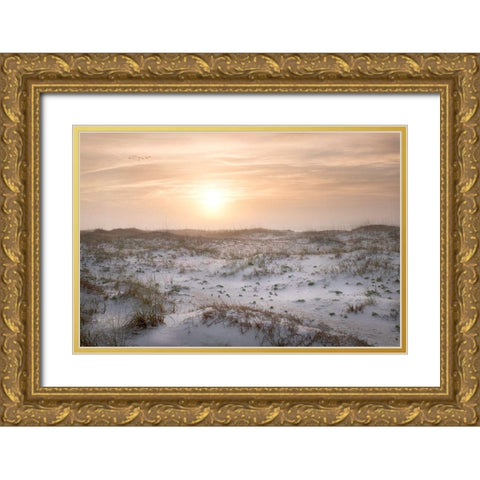 Six Birds Gold Ornate Wood Framed Art Print with Double Matting by Head, Danny
