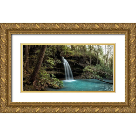 Blue Waters Gold Ornate Wood Framed Art Print with Double Matting by Head, Danny