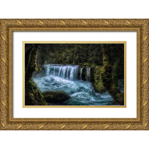 Spirit Falls Panorama Gold Ornate Wood Framed Art Print with Double Matting by Head, Danny