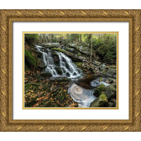 Swirls Gold Ornate Wood Framed Art Print with Double Matting by Head, Danny