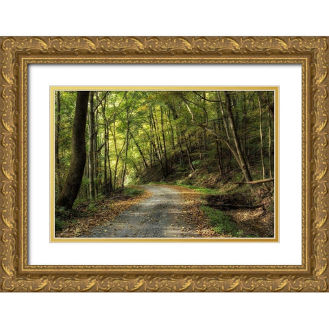 All Down Hill Gold Ornate Wood Framed Art Print with Double Matting by Head, Danny