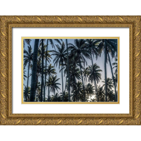 Palm Grove I Gold Ornate Wood Framed Art Print with Double Matting by Head, Danny