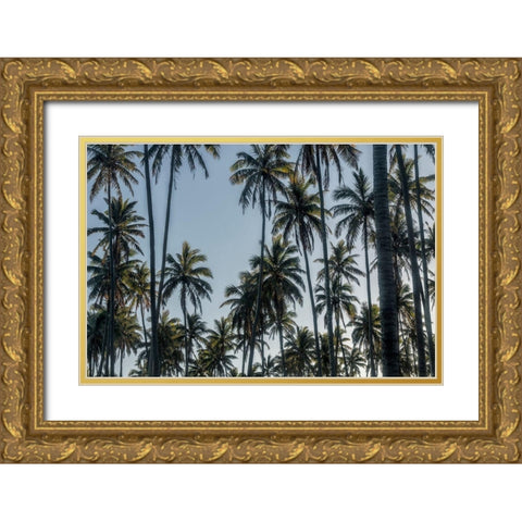 Palm Grove II Gold Ornate Wood Framed Art Print with Double Matting by Head, Danny