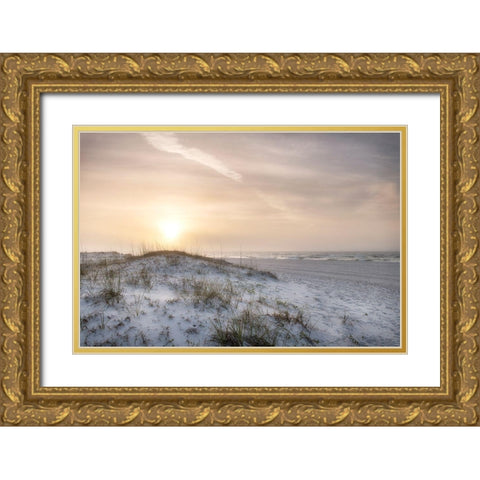 Foggy Dunes Gold Ornate Wood Framed Art Print with Double Matting by Head, Danny
