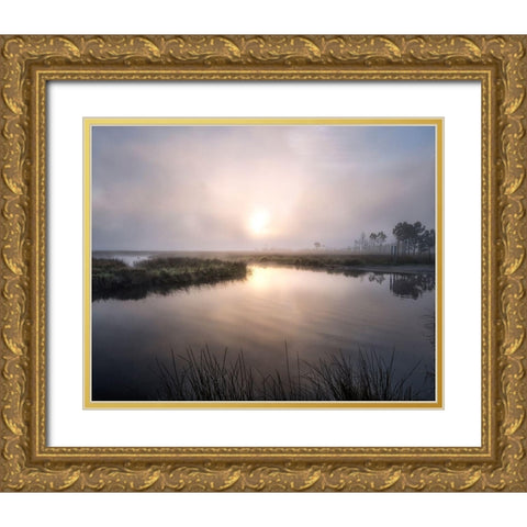 Fog on the Bayou Gold Ornate Wood Framed Art Print with Double Matting by Head, Danny