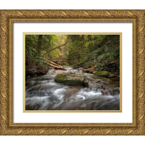 Spring Colors Gold Ornate Wood Framed Art Print with Double Matting by Head, Danny