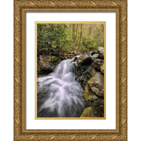 Spill Over Gold Ornate Wood Framed Art Print with Double Matting by Head, Danny