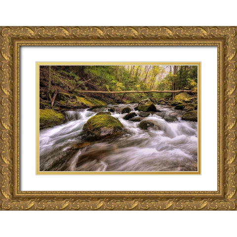 Running Free II Gold Ornate Wood Framed Art Print with Double Matting by Head, Danny