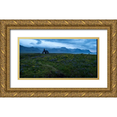 Wildflowers in Yellow and Blue Gold Ornate Wood Framed Art Print with Double Matting by Head, Danny