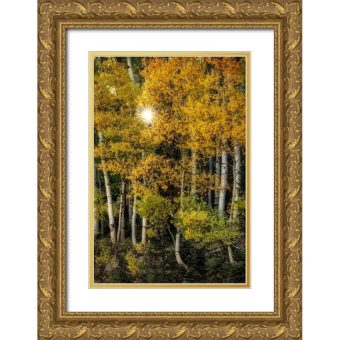 Peeking Through Gold Ornate Wood Framed Art Print with Double Matting by Head, Danny