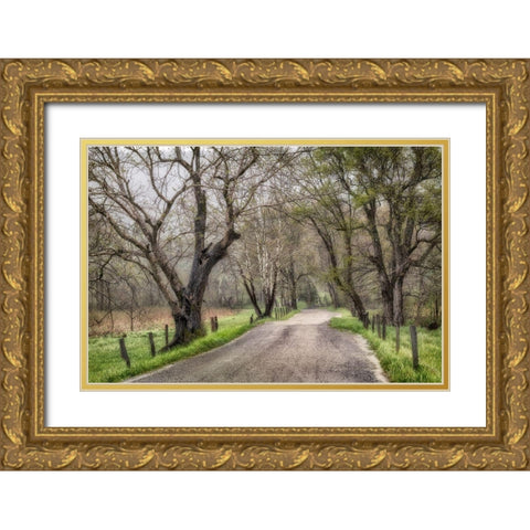 Memory Lane II Gold Ornate Wood Framed Art Print with Double Matting by Head, Danny