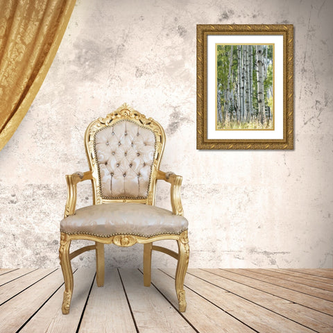 Aspen Trunks VII Gold Ornate Wood Framed Art Print with Double Matting by Head, Danny