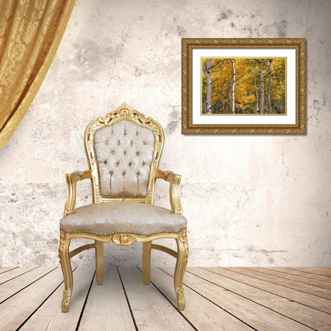 Autumn GroveI Gold Ornate Wood Framed Art Print with Double Matting by Head, Danny