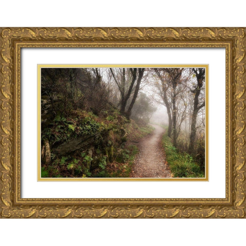 Hikers Dream Gold Ornate Wood Framed Art Print with Double Matting by Head, Danny