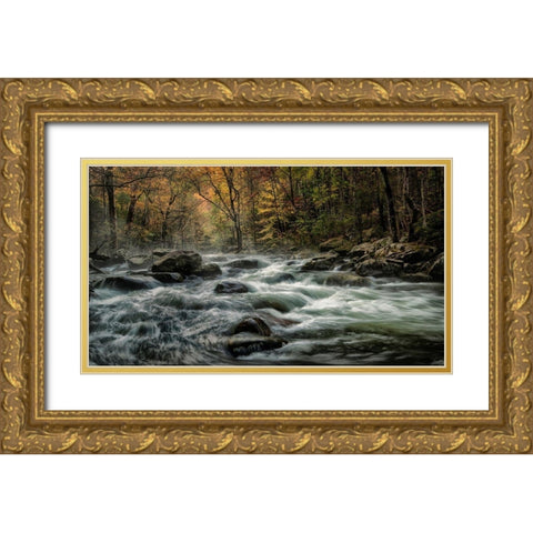 Tremont Morning Gold Ornate Wood Framed Art Print with Double Matting by Head, Danny