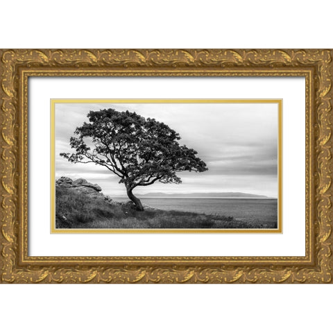 Survivor Gold Ornate Wood Framed Art Print with Double Matting by Head, Danny