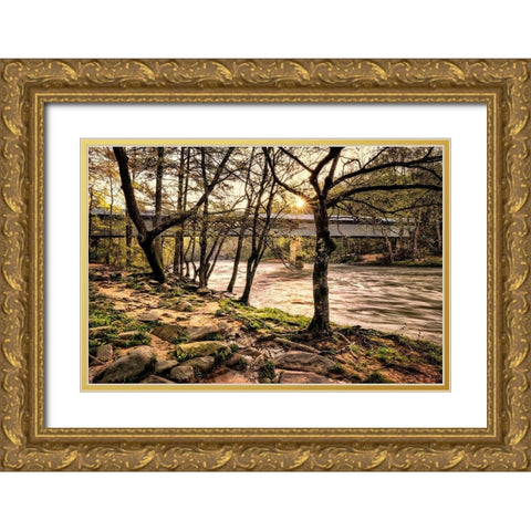 Swann Bridge I Gold Ornate Wood Framed Art Print with Double Matting by Head, Danny