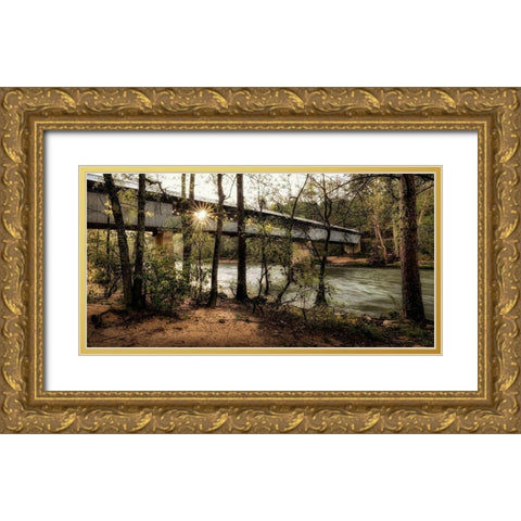Swann Biridge III Gold Ornate Wood Framed Art Print with Double Matting by Head, Danny