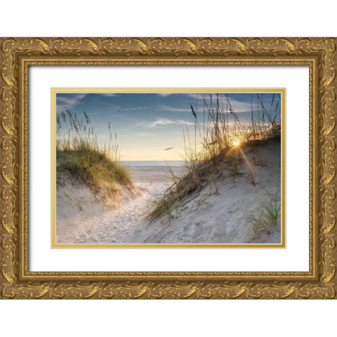 The Dunes Gold Ornate Wood Framed Art Print with Double Matting by Head, Danny