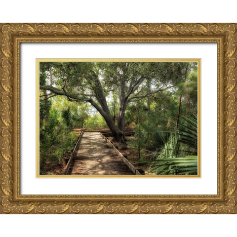 Tropical Walk Gold Ornate Wood Framed Art Print with Double Matting by Head, Danny