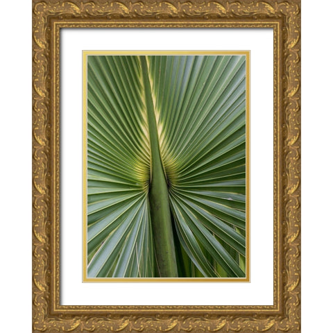 Palm Detail I Gold Ornate Wood Framed Art Print with Double Matting by Head, Danny
