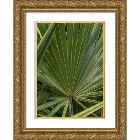 Palm Detail III Gold Ornate Wood Framed Art Print with Double Matting by Head, Danny