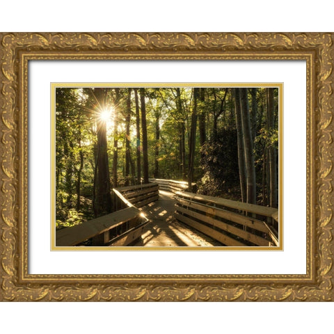 Sunstar Path Gold Ornate Wood Framed Art Print with Double Matting by Head, Danny
