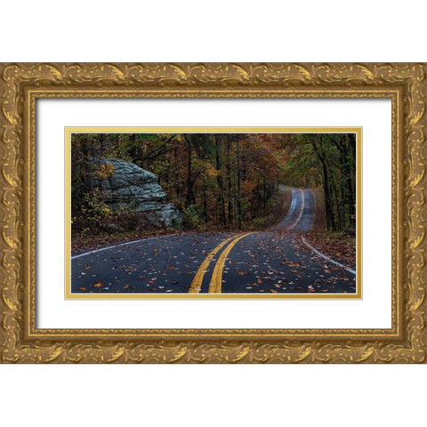 Autumn Drive III Gold Ornate Wood Framed Art Print with Double Matting by Head, Danny