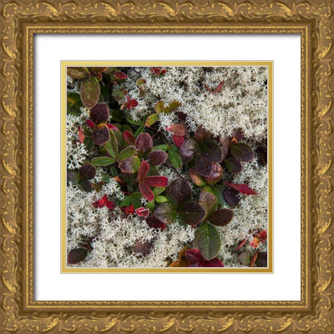 Ground Cover II Gold Ornate Wood Framed Art Print with Double Matting by Head, Danny