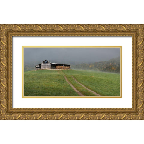 Fog at the Farm Gold Ornate Wood Framed Art Print with Double Matting by Head, Danny