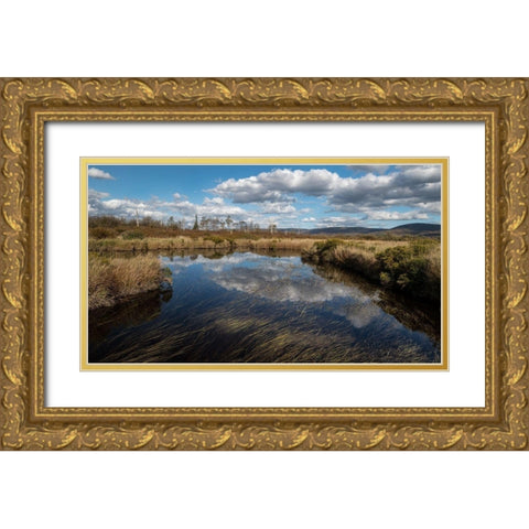 Blackwater Creek Gold Ornate Wood Framed Art Print with Double Matting by Head, Danny