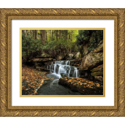 Lower Elakala Falls Gold Ornate Wood Framed Art Print with Double Matting by Head, Danny