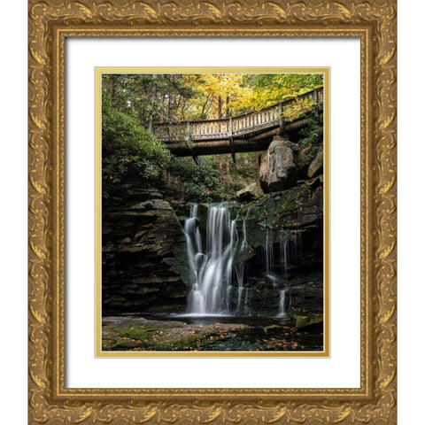 Elakala Falls I Gold Ornate Wood Framed Art Print with Double Matting by Head, Danny