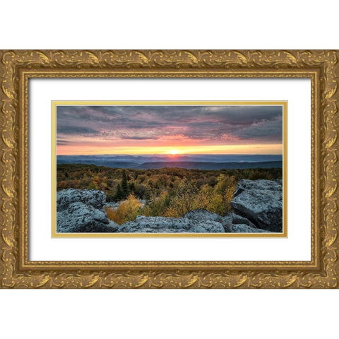 Yellow Dawn I Gold Ornate Wood Framed Art Print with Double Matting by Head, Danny