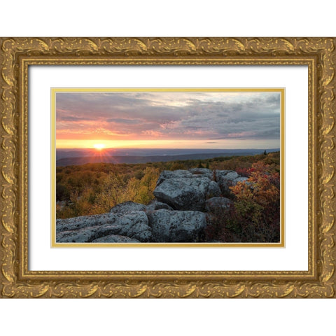 Yellow Dawn II Gold Ornate Wood Framed Art Print with Double Matting by Head, Danny