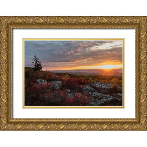 New Day I Gold Ornate Wood Framed Art Print with Double Matting by Head, Danny