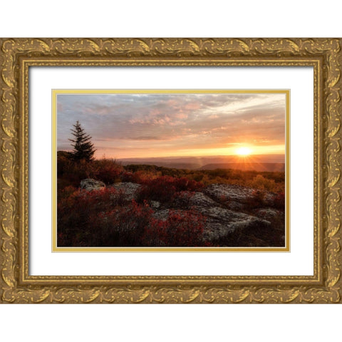 New Day II Gold Ornate Wood Framed Art Print with Double Matting by Head, Danny