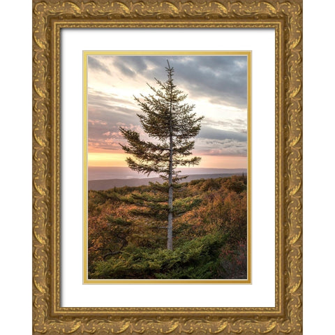 Standing Alone Gold Ornate Wood Framed Art Print with Double Matting by Head, Danny
