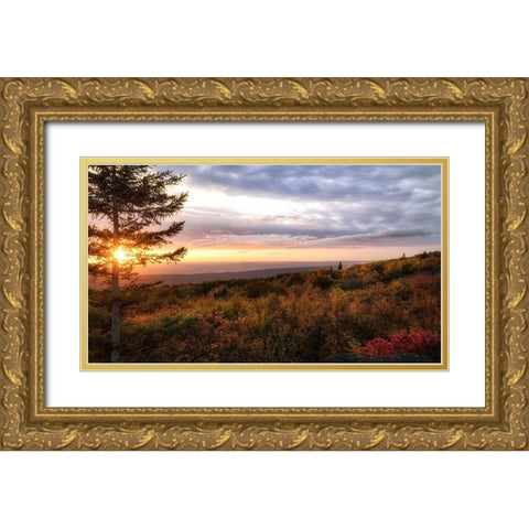 Coming Alive Gold Ornate Wood Framed Art Print with Double Matting by Head, Danny