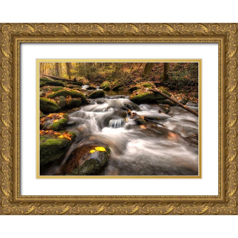Fallen Leaves Gold Ornate Wood Framed Art Print with Double Matting by Head, Danny