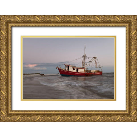 Run Aground II Gold Ornate Wood Framed Art Print with Double Matting by Head, Danny