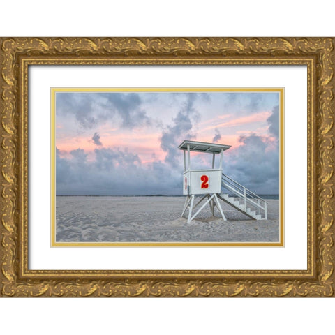 Standing Guard I Gold Ornate Wood Framed Art Print with Double Matting by Head, Danny