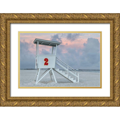 Standing Guard III Gold Ornate Wood Framed Art Print with Double Matting by Head, Danny